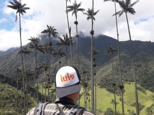 Man wearing Lulo Cap in front of Quindio Wax Palms - Landscape - Nature - Cocora Valley - Coffee Zone - Lulo Colombia Travel