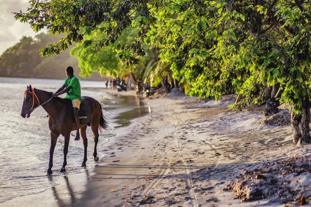 Kind te paard op het strand met groen op de achtergrond