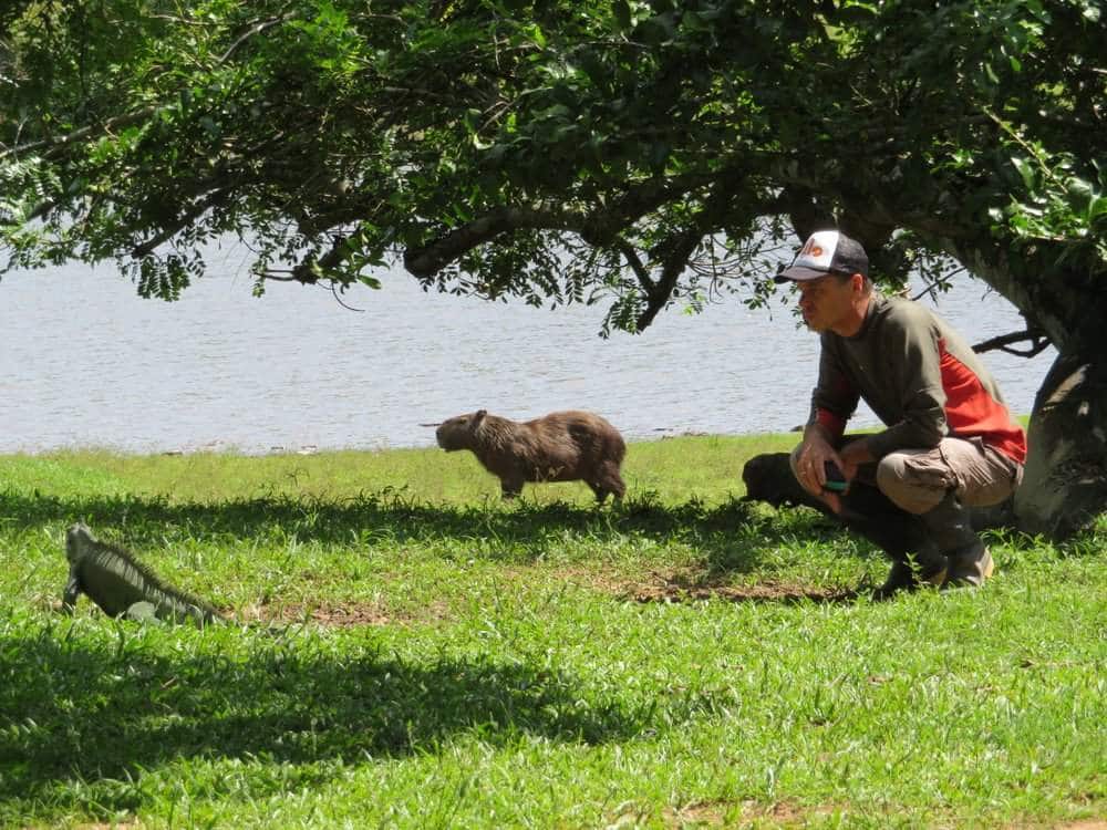 Tourist with wild animals in Casanare