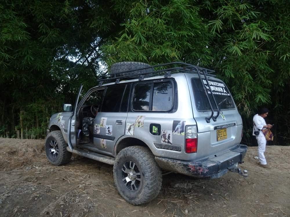 Birdwatching tour near Minca