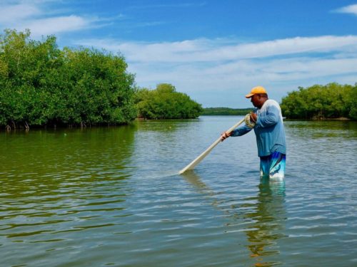 Man aan het vissen naast de mangroves in Cartagena