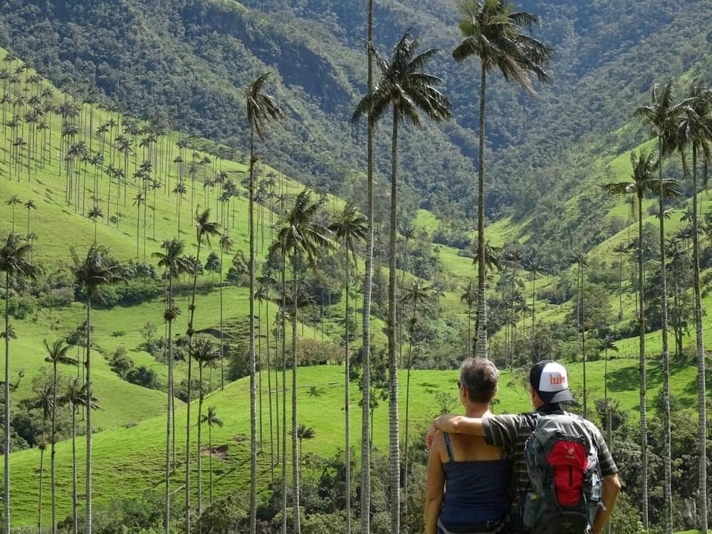 Man with Lulo cap and woman hugging in front of Quindio Wax palm trees