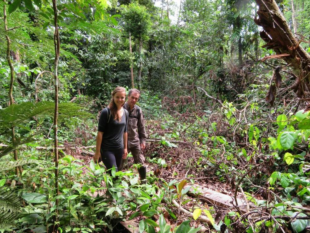 Tourists doing a jungle trek -