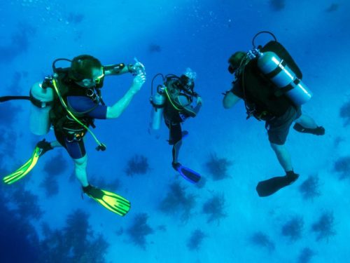 diving-bahia-solano-tour-colombia-lulo