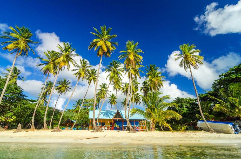 The magical islands of San Andres and Providencia are the ideal place to unwind. They offer a great combination of diving and white beaches dotted with palm trees.