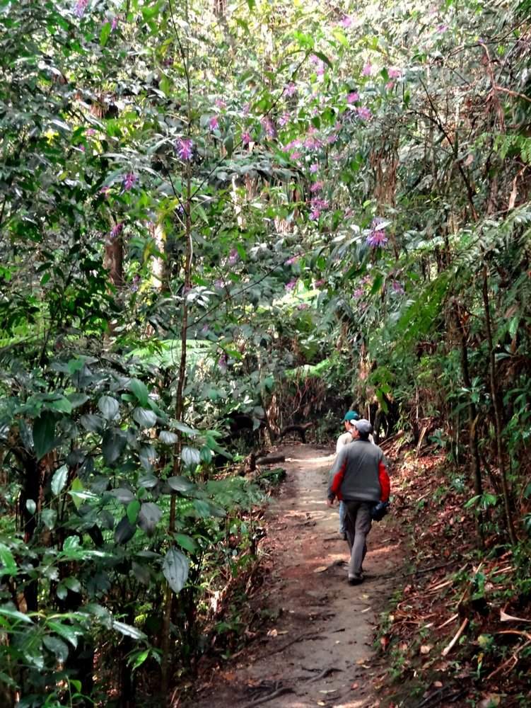 Tourists on birding tour in nature near Reserva el Dorado
