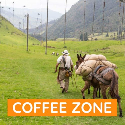 lulo-travel-coffee-zone-1