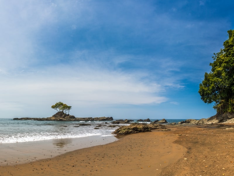 Beach, sea and trees in Bahia Solano