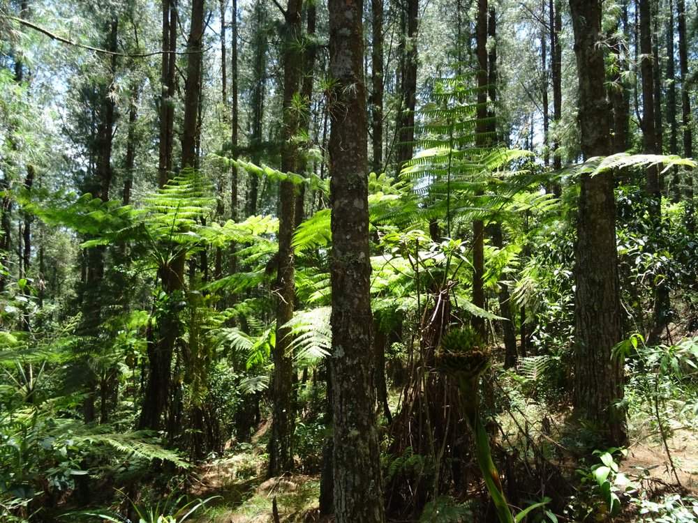 biking villa de leyva