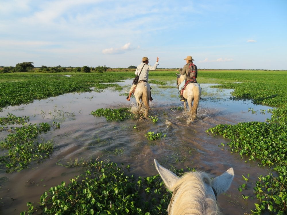 Horseback riding over flooded savannah in Casanare
