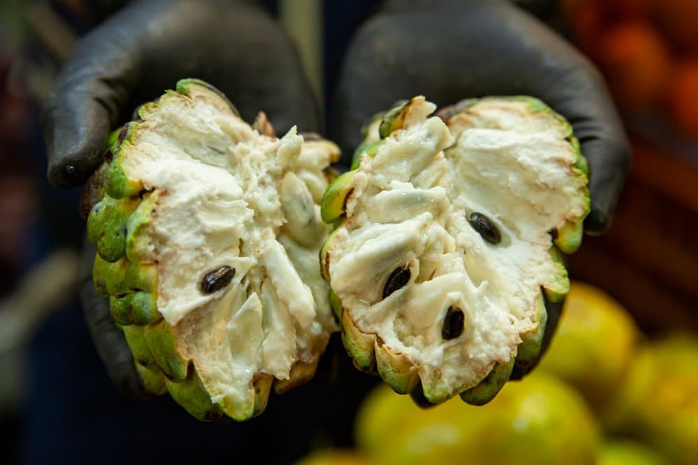 chirimoya fruit on bike tour