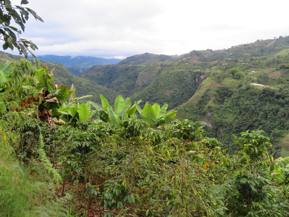 Horseback riding tour