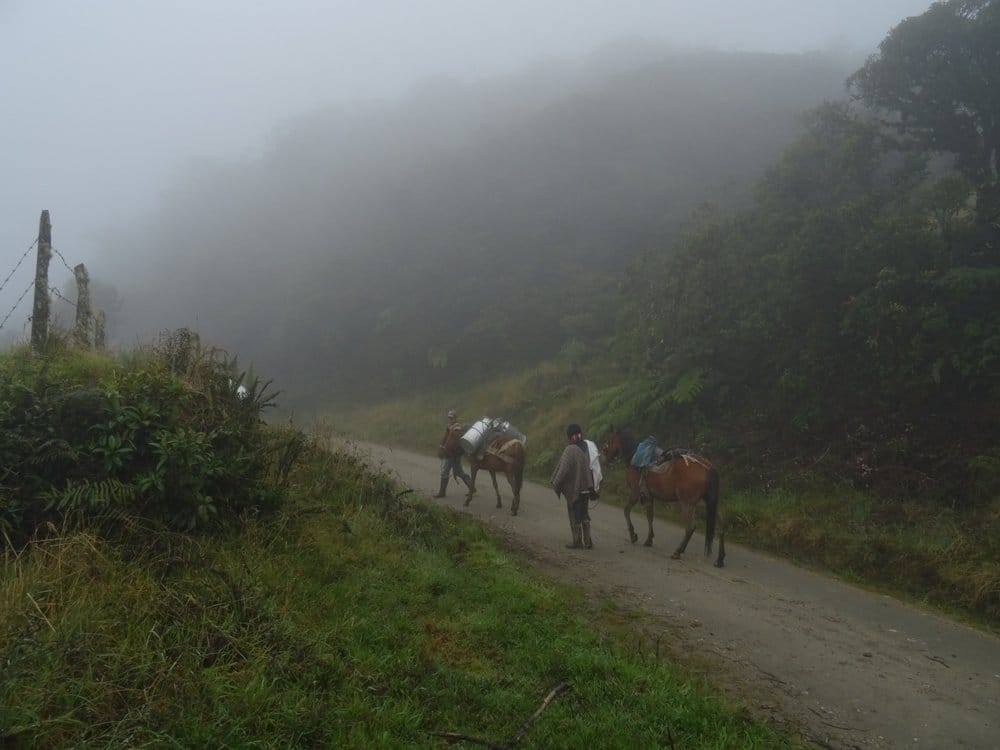 Horseback riding and indigenous tribes tour