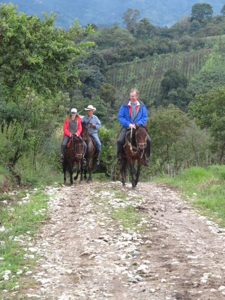 Horseback riding tour